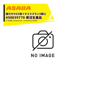 �ő�100%�|�C���g�o�b�N �m��2����1�I�����B���Ń`�����X�ő�5�{�I�v�G���g���[�I���� asaba �L�p�E���̓Z���~�^�C�v �Z���~S�^�C�`�S�X�Y���� 3�����@G1/4 450039770 �󒍐��Y�i