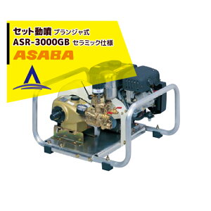 �ő�100%�|�C���g�o�b�N �m��2����1�I�����B���Ń`�����X�ő�5�{�I�v�G���g���[�I���� asaba �Z�b�g���� �v�����W���� ASR-3000GB