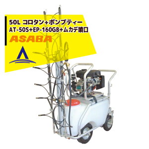 �ő�100%�|�C���g�o�b�N �m��2����1�I�����B���Ń`�����X�ő�5�{�I�v�G���g���[�I���� asaba 50���b�g���^���N�ԁu�R���^��+�|���v�e�B�[�vAT-50S�{EP-161GB�{���J�f����