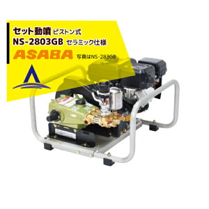 �ő�100%�|�C���g�o�b�N �m��2����1�I�����B���Ń`�����X�ő�5�{�I�v�G���g���[�I���� asaba �Z�b�g���� �s�X�g���� NS-2803GB �Z���~�b�N