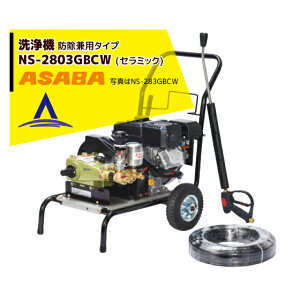 �ő�100%�|�C���g�o�b�N �m��2����1�I�����B���Ń`�����X�ő�5�{�I�v�G���g���[�I���� asaba ���@ �h�����p�^�C�v NS-2803GBCW �Z���~�b�N