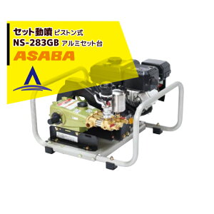 �ő�100%�|�C���g�o�b�N �m��2����1�I�����B���Ń`�����X�ő�5�{�I�v�G���g���[�I���� asaba �Z�b�g���� �s�X�g���� NS-283GB