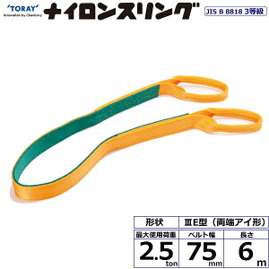 �i�C�����X�����O N3E ���[�A�C�` 2.5ton ��75mm ����6m N3E-75X6.0 41000 ���� TORAY �x���g�X�����O �t���[�N