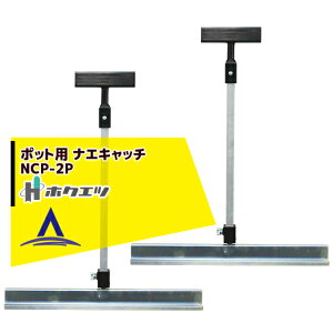 !!Gg[ōő100%|CgobN!! zNGc cړ iGLb`i|bgpj NCP-2P 2{Zbg