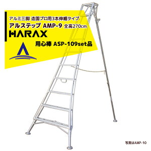 !!Gg[ōő100%|CgobN!! nbNXbHARAX 4setiAXebv AMP-9s3{Lk xŒ pS_ ASP-109Zbgi
