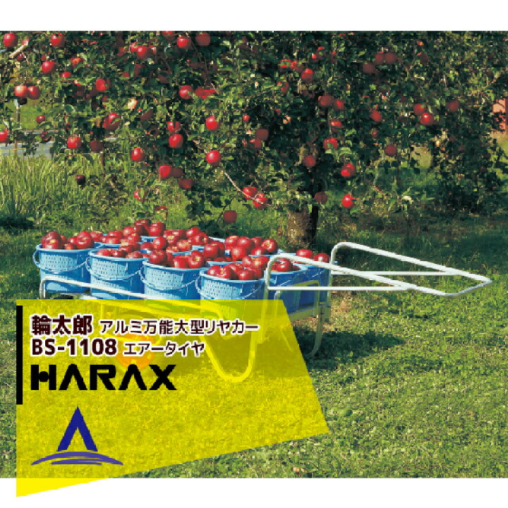 楽天市場】最大100%ポイントバック 確率2分の1！条件達成でチャンス 