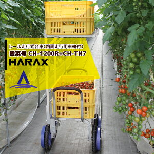 !!Gg[ōő100%|CgobN!! nbNXbHARAX 2iA^b`gsetA~^ [s Hnspԗ֕t ؍ CH-1200R+CH-TN7 m[pN^C