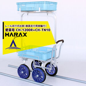 nbNXbHARAX 2iA^b`gsetA~^ [s Hnspԗ֕t ؍ CH-1200R+CH-TN10 m[pN^C