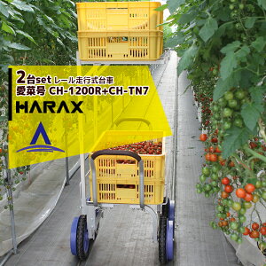 y11/1 ő|Cg6{ Gg[K{znbNXbHARAX 2set2iA^b`gsetA~^ [s Hnspԗ֕t ؍ CH-1200R+CH-TN7 m[pN^C