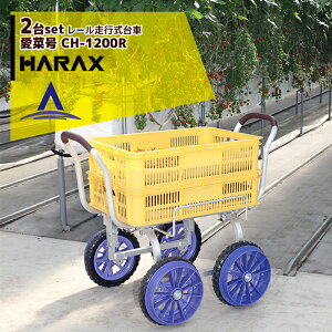 !!Gg[ōő100%|CgobN!! nbNXb2ZbgiHARAX A~^ [s Hnspԗ֕t ؍ CH-1200R m[pN^C