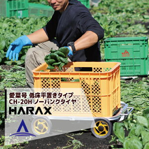 !!Gg[ōő100%|CgobN!! nbNX HARAX A~^ ؍ CH-20H@u d 1.5kg