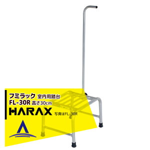 yX[p[SALEʌ艿iIznbNXbHARAX 2setit~bN FL-30R A~ (p)