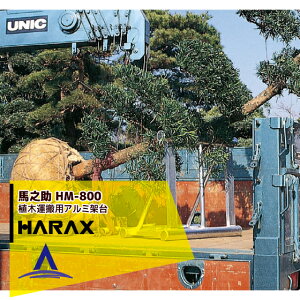 yX[p[SALEʌ艿iIznbNXbHARAX 4setinV HM-800 A؉^p A~ˑ(gbNp) ב䏸~ ז