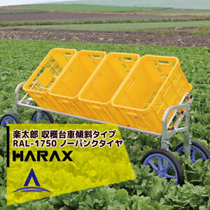 nbNXbHARAX 2setiyY RAL-1750 A~ nԉX΃^Cv ύڗ80kg m[pN^CELkdl nbNX n _ 