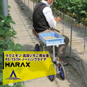 !!Gg[ōő100%|CgobN!! nbNX HARAX NG ݂p RS-757H m[pN^C(12N) nbNX 