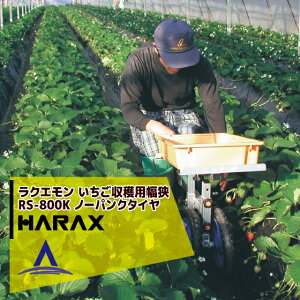 nbNX HARAX NG A~ np n _  RS-800K m[pN^C(12N)