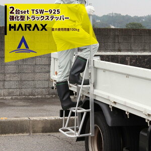 !!Gg[ōő100%|CgobN!! nbNXbHARAX 2ZbgLk|_^ gbNXebp[ TSW-925 ב䏸~ ז