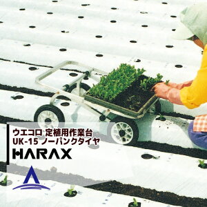 !!Gg[ōő100%|CgobN!! nbNXbHARAX 4setiEGR ApƑ UK-15