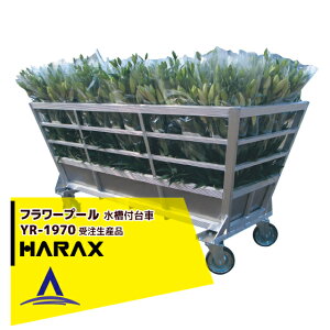 !!Gg[ōő100%|CgobN!! nbNXb[HARAX t[v[ YR-1970 A~ XeXt