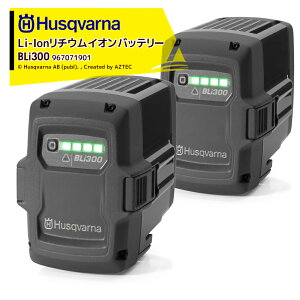!!Gg[ōő100%|CgobN!! Husqvarnab2ZbginXNo[i Li-Ion `ECIobe[ 36V/9.4Ah BLi300 967071901
