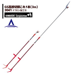 !!Gg[ōő100%|CgobN!! L{V }؂ GS} { 3m 3041