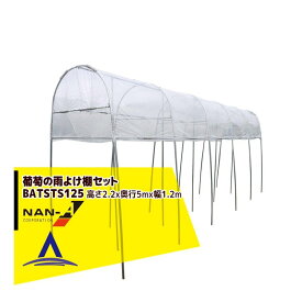 楽天市場 ぶどう 棚 雨よけの通販