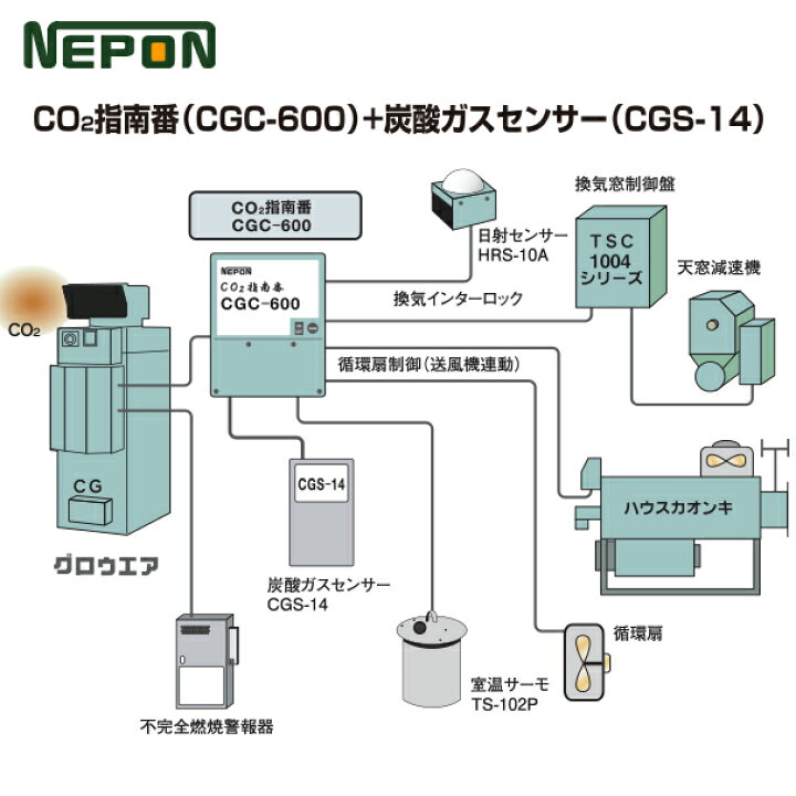 楽天市場】最大100%ポイントバック 確率2分の1！条件達成でチャンス 