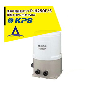 P[s[GXH P-H250F/S ˗p|v P100V/o250W (Om/SANYO)