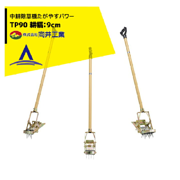 楽天市場】最大100%ポイントバック 確率2分の1！条件達成でチャンス 