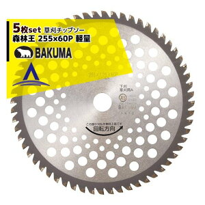 !!Gg[ōő100%|CgobN!! oN}HƁb5Zbgi`bv\[ Xщ y 255x60P Ep