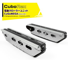 CuboRex｜キューボレックス CuGoMEGA（2ユニット）サイズW1050×D195×H253mm ＜受注生産品・返品不可＞