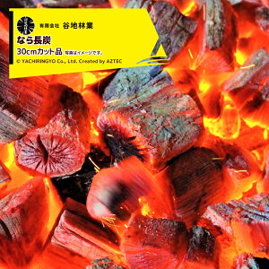 !!Gg[ōő100%|CgobN!! Jnы Ȃ璷Y 15kg Y 30cmJbgi Rp