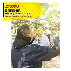 !!Gg[ōő100%|CgobN!! jbJb2Zbgip⏕ ʎ͔|_ƂYƗp_bNƎ҂ȂǏƂɁI ۗ܃|Pbgt