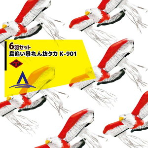 �ő�100%�|�C���g�o�b�N �m��2����1�I�����B���Ń`�����X�ő�5�{�I�v�G���g���[�I����ېn���H�[�b��6�H�Z�b�g���h���΍� ���ǂ��\���V�^�J K-901 6�H�A��
