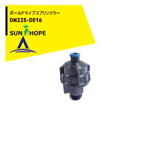 �y3/1���� �ő�|�C���g6�{ �G���g���[�K�{�z�T���z�[�v SUNHOPE �{�[���h���C�u�X�v�����N���[ DN225-DE16