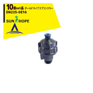 �y3/1���� �ő�|�C���g6�{ �G���g���[�K�{�z�T���z�[�v�bSUNHOPE ��10�Z�b�g�i���{�[���h���C�u�X�v�����N���[ DN225-DE16