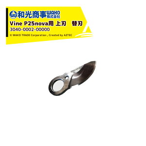 !!Gg[ōő100%|CgobN!! WAKO a a doT~ Vine P25novap n ֐n 3040-0002-00000