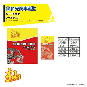 �ő�100%�|�C���g�o�b�N �m��2����1�I�����B���Ń`�����X�ő�5�{�I�v�G���g���[�IWAKO �a������ �[SOMA �V���[�Y �\�[�`�F���i���[���`�F���j52RD0SB-2903(D0SB) �I���S��95VPX����