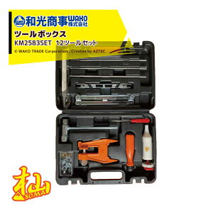 �ő�100%�|�C���g�o�b�N �m��2����1�I�����B���Ń`�����X�ő�5�{�I�v�G���g���[�IWAKO �a������ �[SOMA �V���[�Y �c�[���{�b�N�X KM2583SET �ыƊ֘A���i