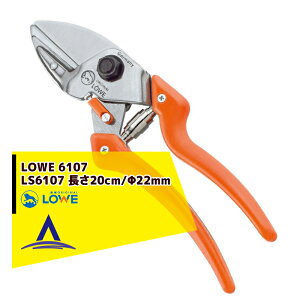 �ő�100%�|�C���g�o�b�N �m��2����1�I�����B���Ń`�����X�ő�5�{�I�v�G���g���[�ILOWE ����n�T�~ �A���r���� LOWE �I���W�i�����C�I�� LS6107 �ؒf�a/���a22mm