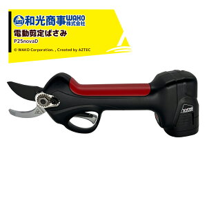 WAKO a a d΂ Vine oC P25novaD 910g 1.5Ԃ̏[d3`4Ԃ̍ oT~ ͂ P25novaD