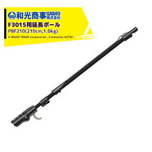 y11/1 ő|Cg6{ Gg[K{zinfaco Ct@R GNgN[v doT~ F3015p|[i2.1mjP8F210