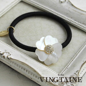 VFt[wAS wAJt |j[tbN  ItBX wAANZ wAANZT[ H-973 fB[X lۂ Vv 킢  v[g