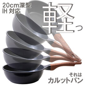 【公式】カルットパン　深型　20cmタイプ　IH対応新技術の画期的な鍋　ツルっとスルっとすべってこびりつかない　未来の鍋　Carutto Pan