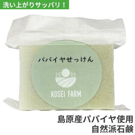 【手作り石鹸】パパイヤ石鹸 自然派 無添加 無香料 敏感肌 ナチュラル石けん 椿油 オリーブオイル 青パパイヤ使用 ギフト 長崎県産 自然派石けん 手作り ナチュラルソープ コウセイプランニング KOSEI FARM