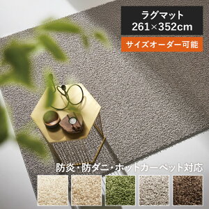 _SiP2{}\11/11()01:59܂Ł^ O X~gj[cCXeB 261×352 261cm×352cm { Y VM[O 6 6 X~mG h h_j n