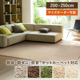 ラグ スミトロンニューツイスティ 200×250 200cm×250cm 日本製 国産 シャギーラグ 3帖 3畳 スミノエ 防炎