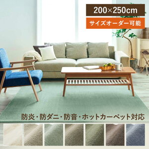 O J[ 200×250 200cm×250cm h h_j X~mG Y { TCYH C[W[I[_[ zbgJ[ybgΉ iC h Vіяoɂ CALM y₩ _炩