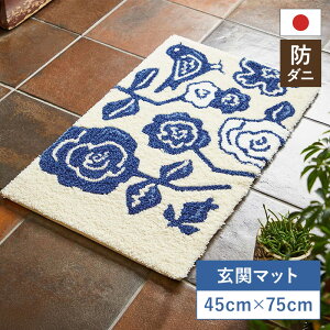 փ}bg NR}bg X~mG 45×75 45cm×75cm h_j {@k fUCCt