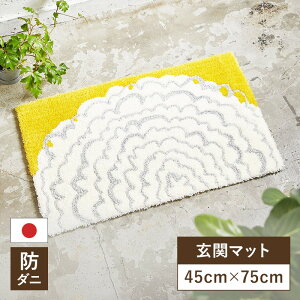 X~mG փ}bg Cni}bg 45×75 45cm×75cm h_j {@k fUCCt